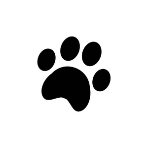 爪印背景图片-爪印背景素材-爪印背景插画-摄图新视界