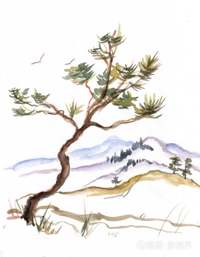 有松树和山的冬季水彩风景