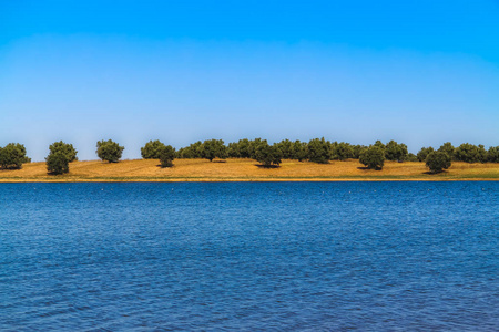 葡萄牙南部美丽的蓝色湖泊和树木
