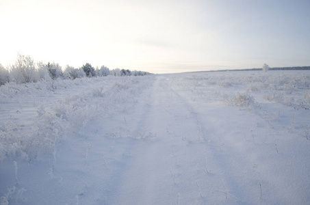 下雪的乡村道路冬季景观