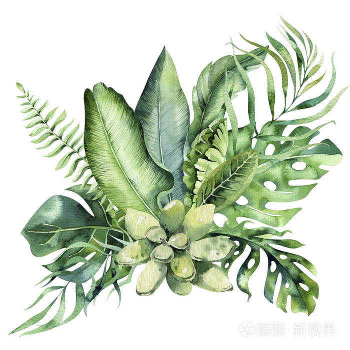 异国棕榈叶丛林树巴西热带植物学元素和花卉. 完美的面料设计.