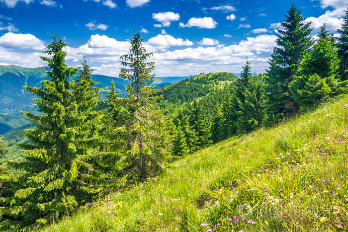 春天的风景有草甸,山峰蓝天,背景是云.