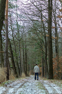 穿着毛衣站在冬天森林小径上的年轻人