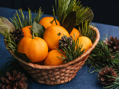 橘子在一个木篮子里, 用松枝装饰