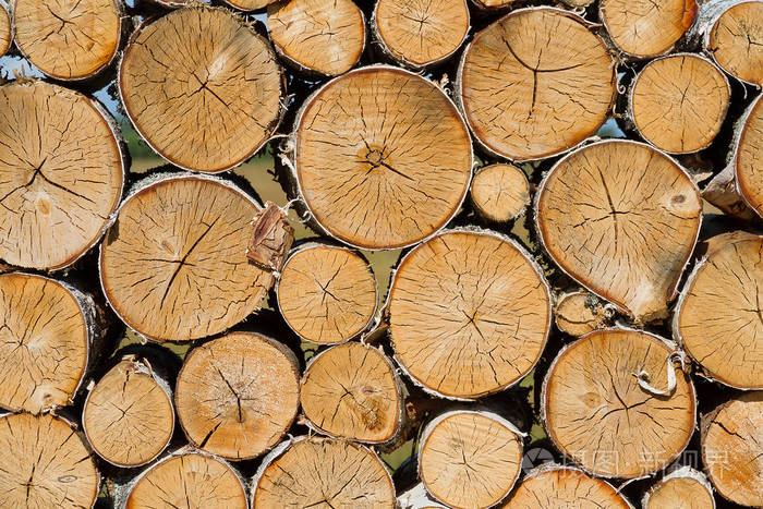 大的装饰墙从裁剪桦木原木.