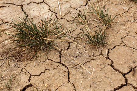 旱地植物坏土地. 干裂的背景. 裂缝. 土壤有裂缝. 纹理减少.
