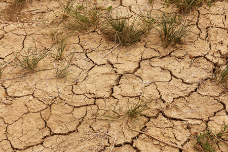 干裂的背景. 裂缝. 土壤有裂缝. 纹理减少. 环境中的干旱.