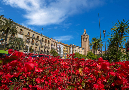 意大利广场广场米格莱特还有西班牙的马凯特塔，红花