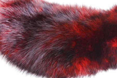 美丽而昂贵的部分皮毛的衣领和地幔是动物红色和勃艮第色.照片