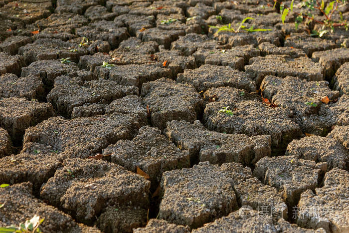 坏土地. 干裂的背景. 裂缝. 土壤有裂缝. 纹理减少. 环境中的干旱.