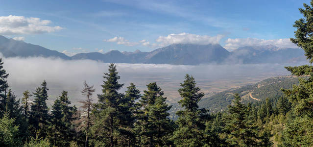 山地景观。 云杉林在秋天阴云密布的早晨，以山和雾为背景希腊，伯罗奔尼撒