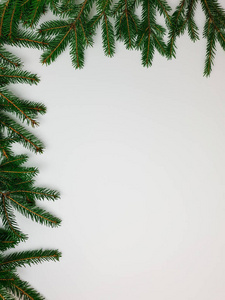 圣诞树边界的分支在长和短的边缘的一边在白色背景