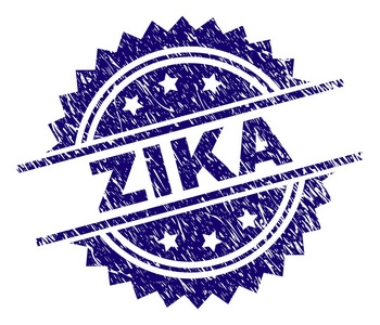 花纹 Zika 印章印章