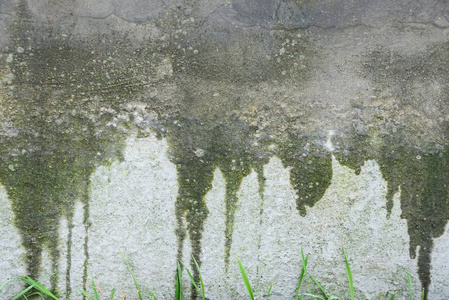 旧湿混凝土墙灰色绿石背景