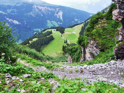 瑞士圣加伦州奥斯施维兹地区风景如画的牧场和山丘