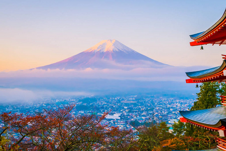 日本大林秋季枫叶树旁有朱雷托塔的富士山美景