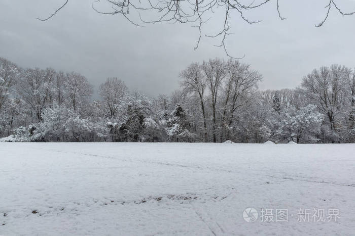 保加利亚索非亚市南部公园的冬景和白雪覆盖的树木