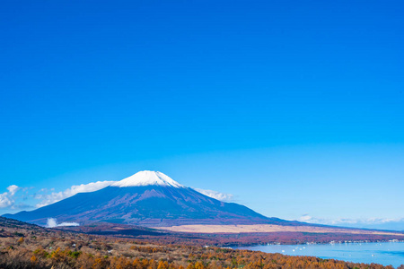 日本秋季稻子或山坂湖富士山的美丽景观