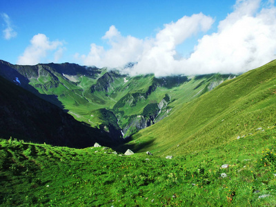 瑞士圣加伦州奥斯施维兹地区风景如画的牧场和山丘