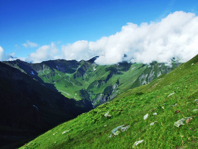 瑞士圣加伦州奥斯施维兹地区风景如画的牧场和山丘