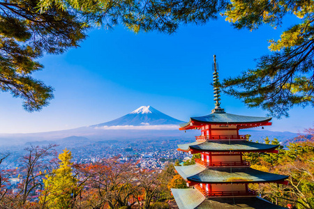 日本大林秋季枫叶树旁有朱雷托塔的富士山美景