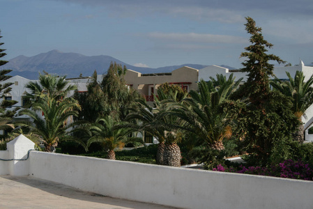 2009.19.2008希腊。 海岸上酒店的景观。 楼梯和树木靠近。