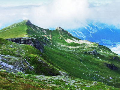 奥斯施维兹地区风景如画的牧场和山丘瑞士圣加伦州