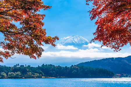 秋季环湖枫叶树的富士山美景