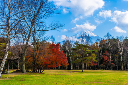 日本秋季环湖枫叶树的富士山美景