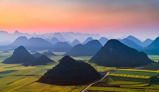 中国罗平春季黄油菜花田