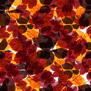 鲜艳的秋叶。 缝纹图案。 自然背景。 混合媒体复古艺术品。