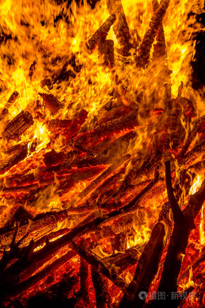 结实的树枝燃烧着森林的火树照片-正版商用图片16gu1d-摄图新视界