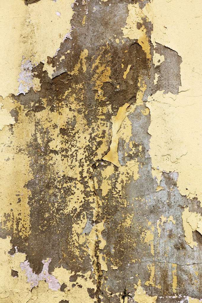 用花瓣纹理绘制的石砖墙灰泥裂缝中的油漆划痕表面.