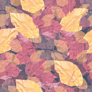 鲜艳的秋叶。 缝纹图案。 自然背景。 混合媒体复古艺术品。