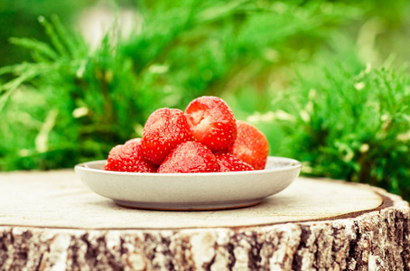 草莓从花园新鲜水果和健康饮食风格的概念优雅的视觉。