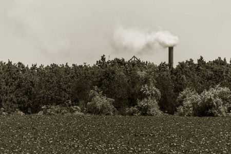 工业管道对绿树的烟雾空气排放。 污染环境，污染工业，从工厂管道昏暗。 生态自然保护的概念温室效应