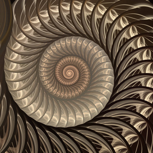抽象分形螺旋。 壳背景螺旋对称菲波纳奇壳段。 半交叉金比结构生长接近