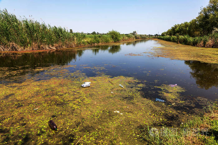 水中的垃圾. 塑料瓶污染自然. 河里的瓶子和垃圾