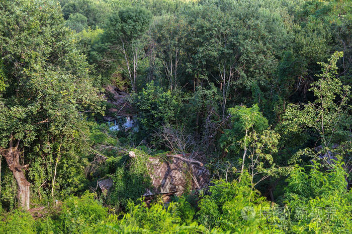 切尔诺贝利放射性死亡区房屋废墟被摧毁的废弃房屋在森林中生长和死亡