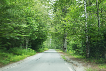 运动中的道路在森林中模糊。 夏天森林里模糊的道路