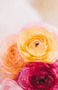 玫瑰花新娘花束婚礼，节日和花卉花园风格的概念，优雅的视觉