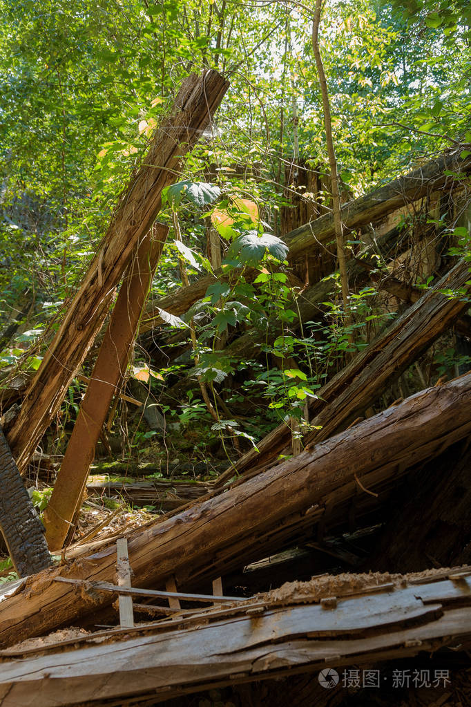 切尔诺贝利放射性死亡区的房屋废墟被摧毁的废弃房屋在森林中生长和