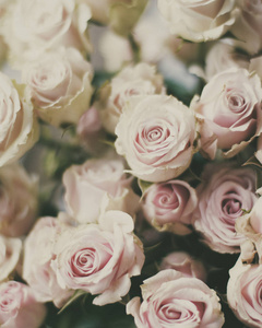 玫瑰花束婚礼，假日和花卉花园风格的概念，优雅的视觉