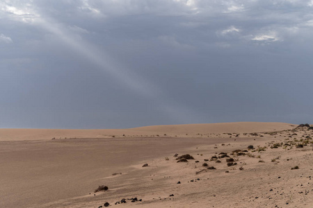 西班牙加那利群岛Fuerteventura，Corralejo自然公园沙丘