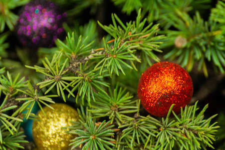圣诞树树枝和球，圣诞装饰特写，节日背景
