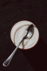 乳制品和乡村农家食品风格的概念新鲜奶油白色酸奶优雅的视觉。