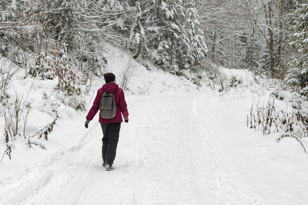 一个带背包的女孩在雪地森林里沿着散步。 冬天。