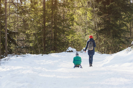 妈妈带着她的儿子在雪覆盖的针叶林中滑过雪橇。 冬天阳光明媚的一天。 背面视图