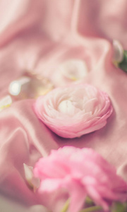 粉红色玫瑰花在柔软的丝绸婚礼假日和花卉背景风格的概念优雅的视觉。