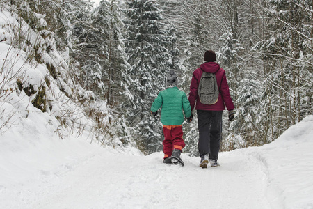 母亲和儿子在针叶林的背景下沿着雪覆盖的道路行走。 冬季